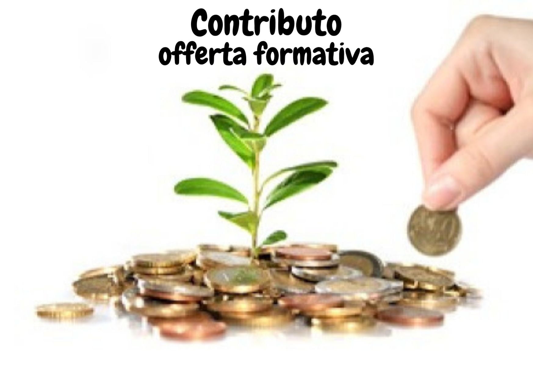 Al momento stai visualizzando Pagamento contributo offerta formativa